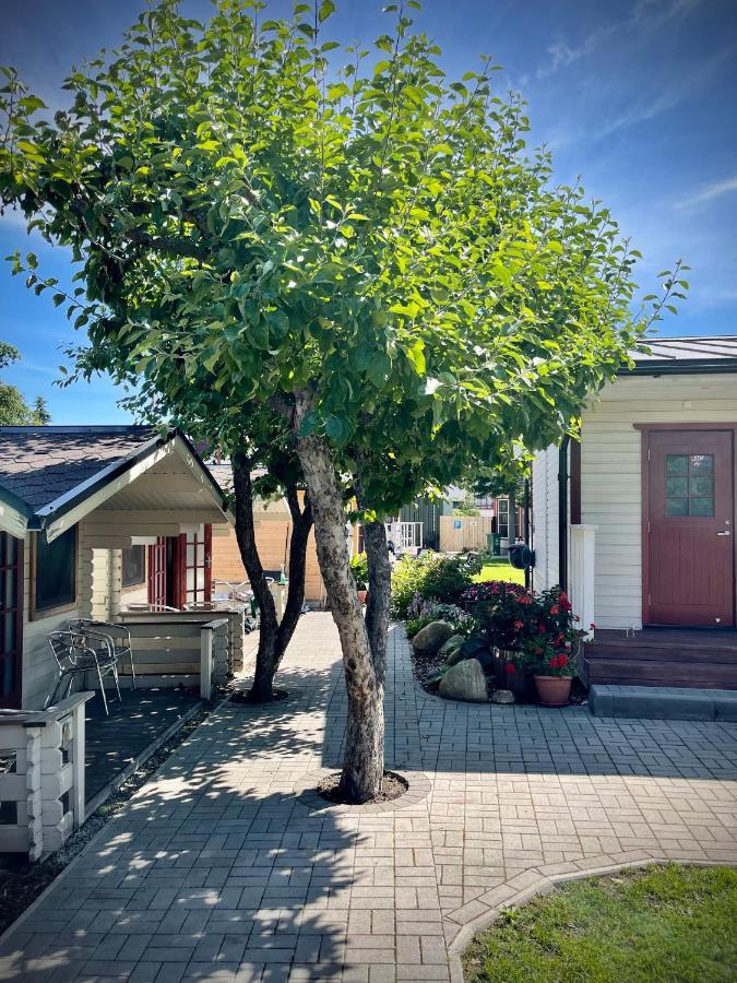 Aleksandri Guesthouse パルヌ エクステリア 写真